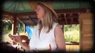 Bee Hut - Reverence for Bees with Jacqueline Freeman
