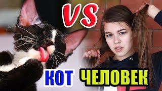 КОТ VS ЧЕЛОВЕК/ Я ПОДЧИНЯЮСЬ КОТУ