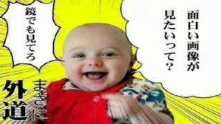 【作業用BGM】 盆回り 小一時間