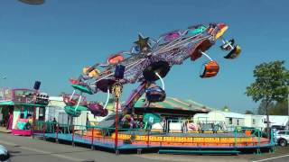 Disco Tel Star - Blum (Tel Star von Reverchon)