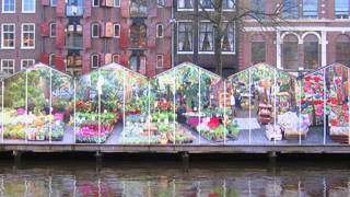 Lugares que puedes visitar en Ámsterdam