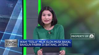 Wah! Tesla Dikabarkan akan Bangun Pabrik di Batang