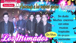 (Los Mimados) Kchakas Nacionales  Homenaje a los Grandes de la música tropical
