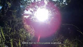 Rollback - DOUBI