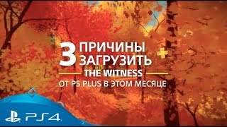 The Witness | 3 причины загрузить с PlayStation Plus | PS4