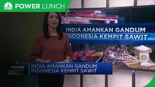 India Amankan Gandum, Indonesia Kempit Sawit