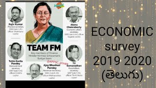 ECONOMIC SURVEY 2019 2020