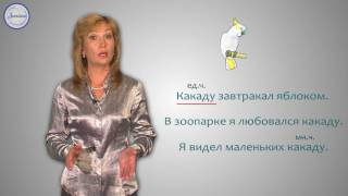 Русский 2 Слова названия предметов, у которых нет окончаний
