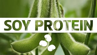 TTGM - Tác dụng Soy Protein, đạm đậu nành đến cơ bắp GYMER