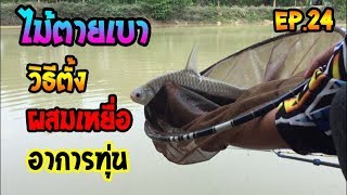 ตกชิงหลิว วิธีตั้งไม้ตายเบาง๊ายง่าย ตามสไตร์ NE วิธีการทำเหยื่อ พร้อมอาการทุ่น EP.24