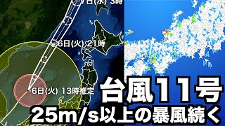 台風11号 日本海側を中心に25m/s以上の暴風