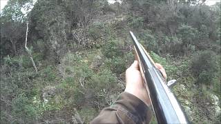 caccia cinghiale sardegna villaputzu 29-01-2015
