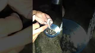 Memek basah berlendir