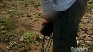 Bear Grylls drinks his own urine (Kimberlies, Australia)