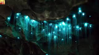Waitomo Caves, New Zealand (Пещеры Уаитомо, Новая Зеландия)