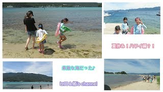 【２０１９年】海外旅行？！ハワイにいくよ！無人島vlog風