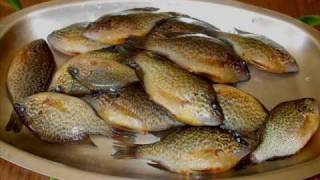 La friture de Poisson