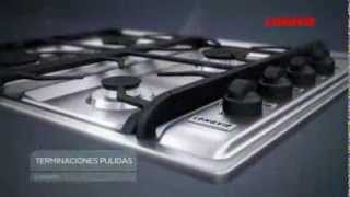 hornos y anafes Longvie