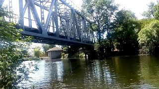 Старый мост и его окрестности. Дубовая роща. 10 июня 2017. Old bridge and surroundings  Oak Grove