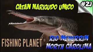 Fishing Planet #21 - Rio Neherrin North Carolina - Como pescar Catán Narigudo UNICO - Español 1080p