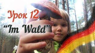 Немецкий для детей. В лесу - собираем грибы и ягоды. Deutsch mit Ksenia! Im Wald.