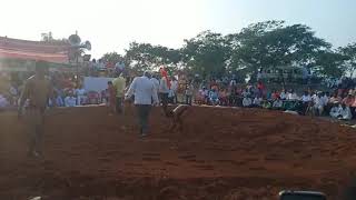 Ayush bobade kusti in daund 20/11/2019