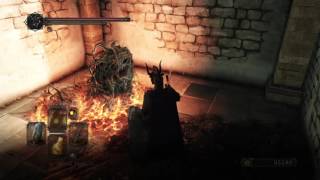 Arwyrn speaks to Aldia at the Dragon Shrine Bonfire [DSII]
