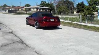 Candy Red Mustang