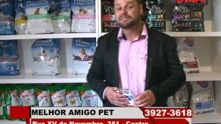 PIRACICABA: Melhor Amigo Pet