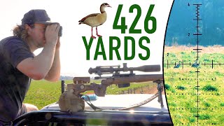 Egyptian Goose Control: Airguns & Powder-Burners