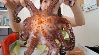 BẠCH TUỘC KHỔNG LỒ Giant Octopus