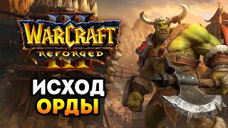 Релиз Warcraft 3 Reforged - Как в первый раз. Исход Орды (Глава 1, 2). Стратегия 2020