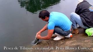 Un día de pesca en el canal de Peña Blanca