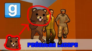 ПЕДОБИР НАСИЛУЕТ ШКОЛЬНИКОВ В ГАРРИС МОДЕ! (Garry's Mod Pedobear Escape)