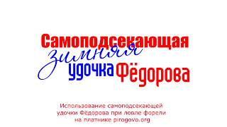 Самоподсекающая зимняя удочка Фёдорова при ловле форели