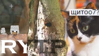 СПАСЕСИЕ ДЯТЕЛОВ | RYTP