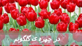 Man Lala e Azadam من لاله ی آزادم