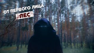 От первого лица: Лес