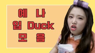 [아이즈원/최예나] 예나 입Duck 모음 Vol.13