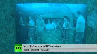 Подводная выставка фотографий во Флориде