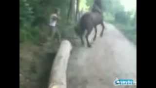 Pikey Cunt Knocked Out By Horse