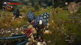 The Witcher 3(SIGN BUILD) level 27 FAST FARMING/GRINDING for mutagens/xps