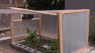 mini backyard greenhouse