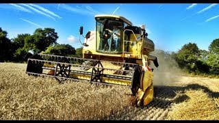 Moisson blé 2013 With New Holland TC56