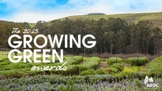 Winners of NRDC's 2013 Growing Green Awards