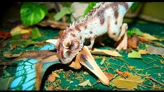 УЖАСНОЕ ЯЙЦО!!!ДИНОЗАВРЫ И ГАДОСТЬ!!! Мультики для детей. Игрушки