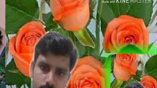 new garhwali song 2016¥2017
