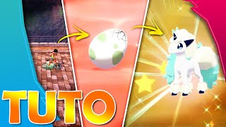 Avoir des SHINY avec la méthode MASUDA !✨Guide Complet~Pokémon Épée et Bouclier⚔️?️
