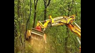 SEPPI M. - BMS (supplem. vers.)- Excavator mounted mulcher/ Mulcher für Bagger/ trincia per escav.