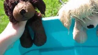 ~Webkinz Pool Party! Part 2~